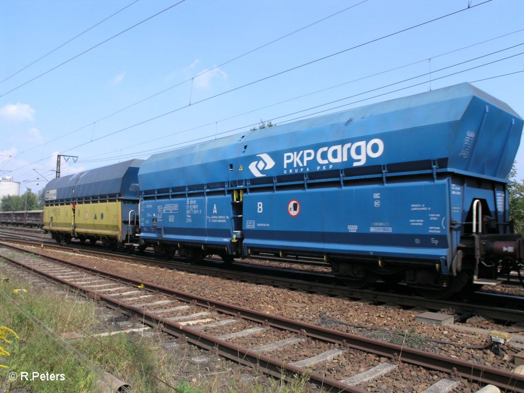 Falns der PKP Cargo mit Neuen Logo. 