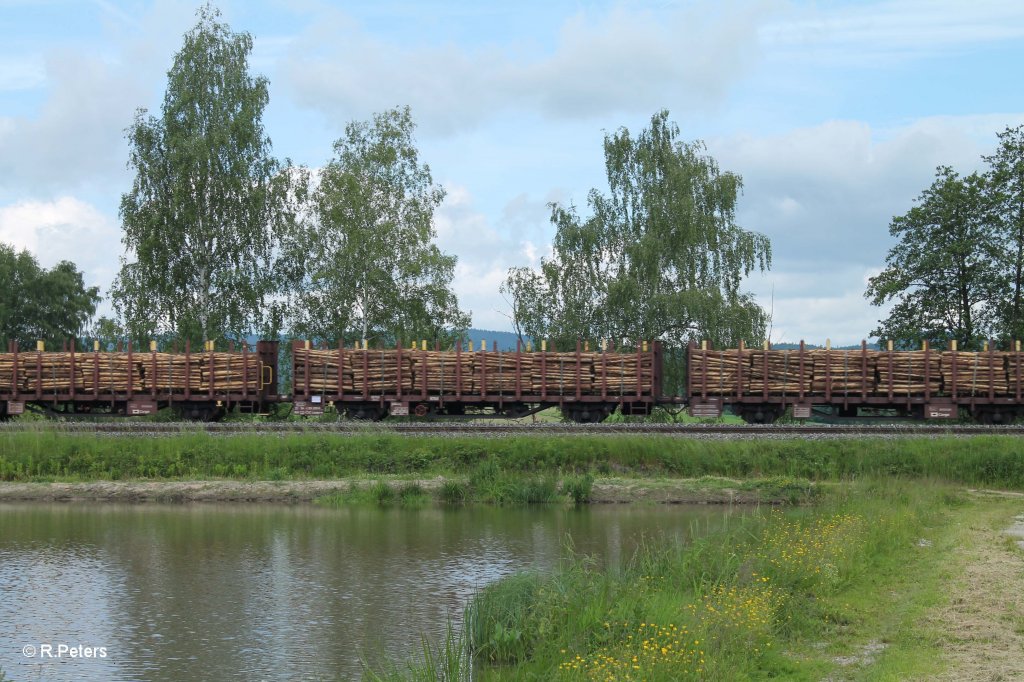 Tschechische Holztransportwagen. 16.06.13
