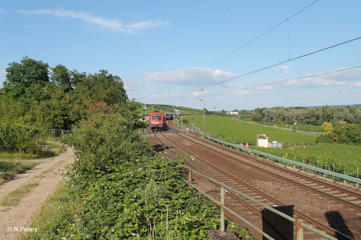 1116 256 mit einem gemischten Güterzug zwischen Erbach (Rheingau) - Hattenheim. 15.07.14