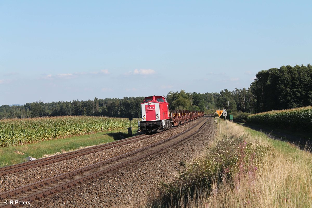 202 743 der RIS zieht mit einem Langschienentransportzug aus Schwandorf in Richtung Vogtland bei Oberteich vorbei. 28.08.17