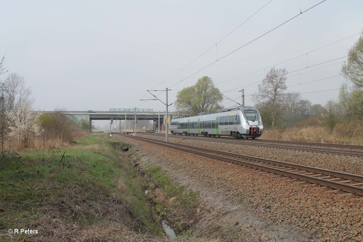 442 121-0 als S1 37126 Wurzen - Leipzig Miltizer Allee bei Borsdorf bei Leipzig. 29.03.14