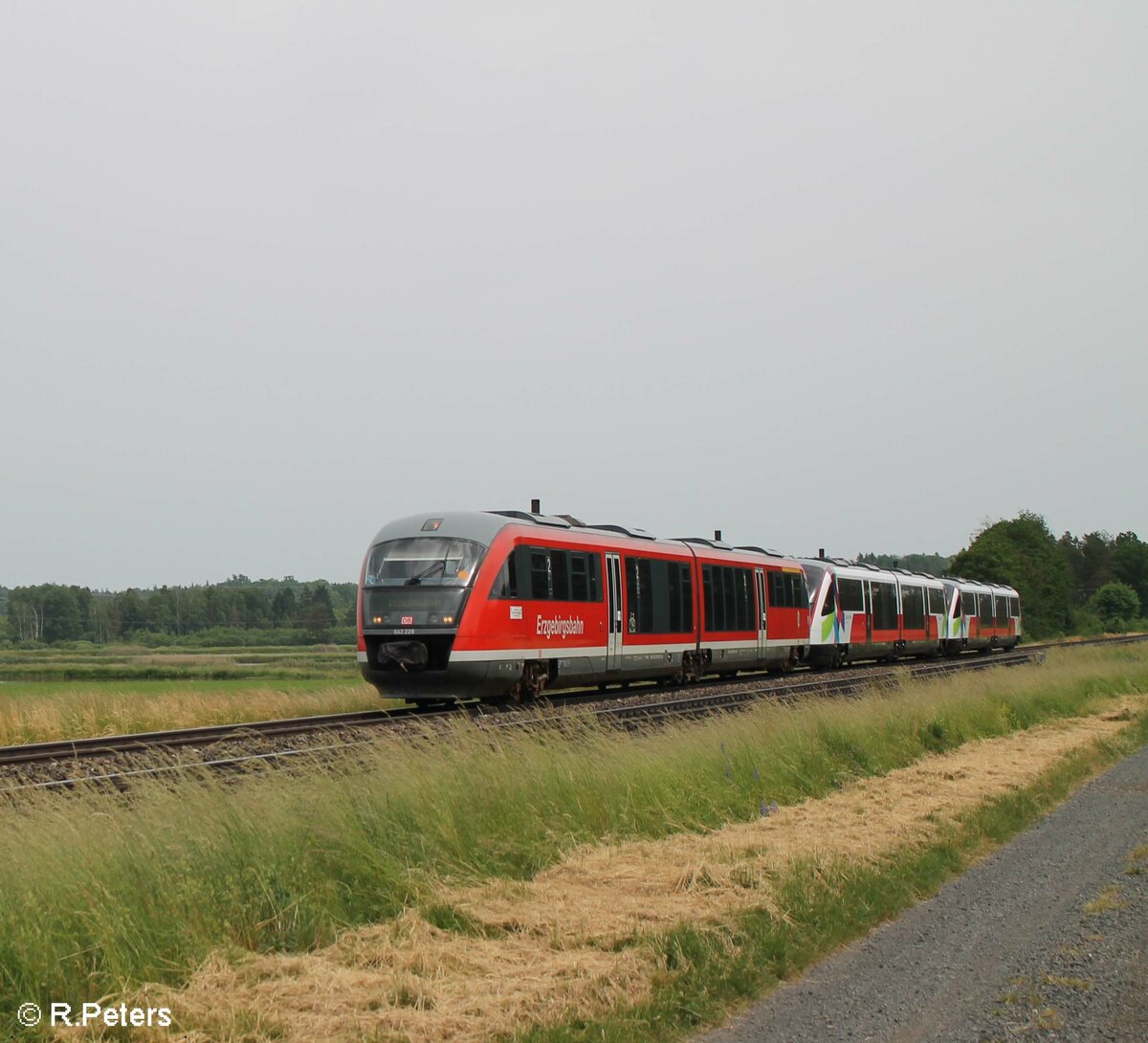 642 228 überführt die beiden Cityjets der ÖBB 642 083 und 642 084 nach Chemnitz, hier bei Oberteich. 20.06.21