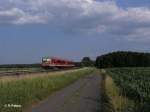 928 411 mit Sch�lerverst�rkungszug bei Oberteich nach Marktredwitz. 16.07.10