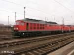 BR 233/35754/233-289-8-fhrt-den-lokzug-an 233 289-8 fhrt den Lokzug an in Cottbus. 09.02.08