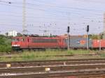 155 234-9 wartet in Frankfurt/Oder mit ein Containerzug auf Weiterfahrt.