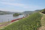 185 143 mit einem gemischten Güterzug bei Lorch am Rhein.