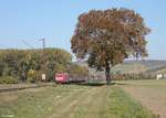 185 206-0 zieht ein gemischten Güterzug kurz vor Retzbach-Zellingen. 13.10.18