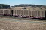 privatbahn/768922/xl-containerwagen-von-rail-release XL Containerwagen von Rail Release