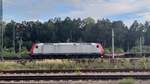 alfa-trains/838752/185-507-1-ex-cfl-mit-einem 185 507-1 ex CFL mit einem Containerzug in Glauchaau. 03.10.23