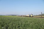 ES64 U2- 011 zieht ein KLV-Zug nach Süden kurz vor Treuchtlingen bei Wettelsheim. 24.09.16