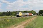 ERS Railways/433397/es64-f4-203-zieht-einen-containerzug ES64 F4 203 zieht einen Containerzug bei der Stromkreistrennstelle Bischofsheim. 22.05.15