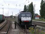 mrce-mitsui-rail-capital-europe/43592/e189-906-wartet-in-frankfurtoder-auf E189 906 wartet in Frankfurt/oder auf neue aufgaben. 19.08.08