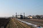 ES 64 F4 287  Rotterdam - Bayern - Express  zieht ein Wechselpritschen LKW-Walter bei Moosham. 11.02.17