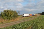 nordic-rail/523076/223-143-mit-dem-wiesau-containerzug 223 143 mit dem Wiesau Containerzug bei Oberteich 10.10.16