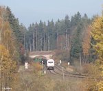 nordic-rail/526704/223-143-zieht-den-wiesau-containerzug 223 143 zieht den Wiesau Containerzug bei Oberteich. 01.11.16