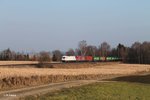 OHE Osthannoversche Eisenbahnen AG/489497/223-144--270082-ziehen-gemeinsam 223 144 + 270082 ziehen gemeinsam den Wiesau- Hamburg Containerzug bei Unterthölau. 18.03.16

