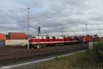 118 770 MTEG/ PRESS und 204 237-2 warten in Wiesau/Oberpfalz auf die Rückleistung des Wiesau Containerzugs nach Hamburg.