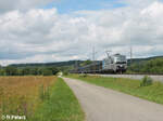rtb-cargo-8/884650/193-999-zieht-mit-einem-leeren 193 999 zieht mit einem leeren Autotransportzug bei Pölling in Richtung Süden. 13.07.24