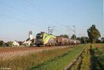br-1016/748710/1016-016-cat-mit-einem-gueterzug 1016 016 CAT mit einem Güterzug aus Linz in den Ruhrpott bei Moosham. 25.09.21
