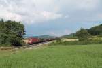 1116 193 mit einem kurzen gedeckten Güterzug bei Darshofen. 23.07.14