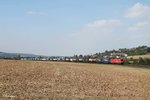 br-1116/520446/1116-276-7-zieht-ein-lkw-walter-zug 1116 276-7 zieht ein LKW-Walter Zug kurz vor Treuchtlingen bei Wettelsheim gen Süden. 24.09.16