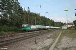 european-locomotive-leasing-ell/826051/193-233-durchfaehrt-ochenbruck-mit-einem 193 233 durchfährt Ochenbruck mit einem Gaskesselzug in Richtung Nürnberg. 10.09.23