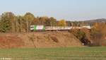 ER20-01 zieht bei Pechbrunn ein leeren Holzzug von Regensburg nach Cheb. 12.10.18