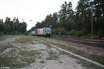 wenzel-logistics/827852/1193-900-mit-einem-klv-zug 1193 900 mit einem KLV Zug in Richtung Österreich bei Ohenbruck. 12.09.23