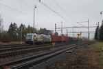386 020-2 hat Tršnice mit einem Elbtal-Umleiter erreicht und wartet im Bahnhof auf die Weiterfahrt bis Cheb. 11.11.16
