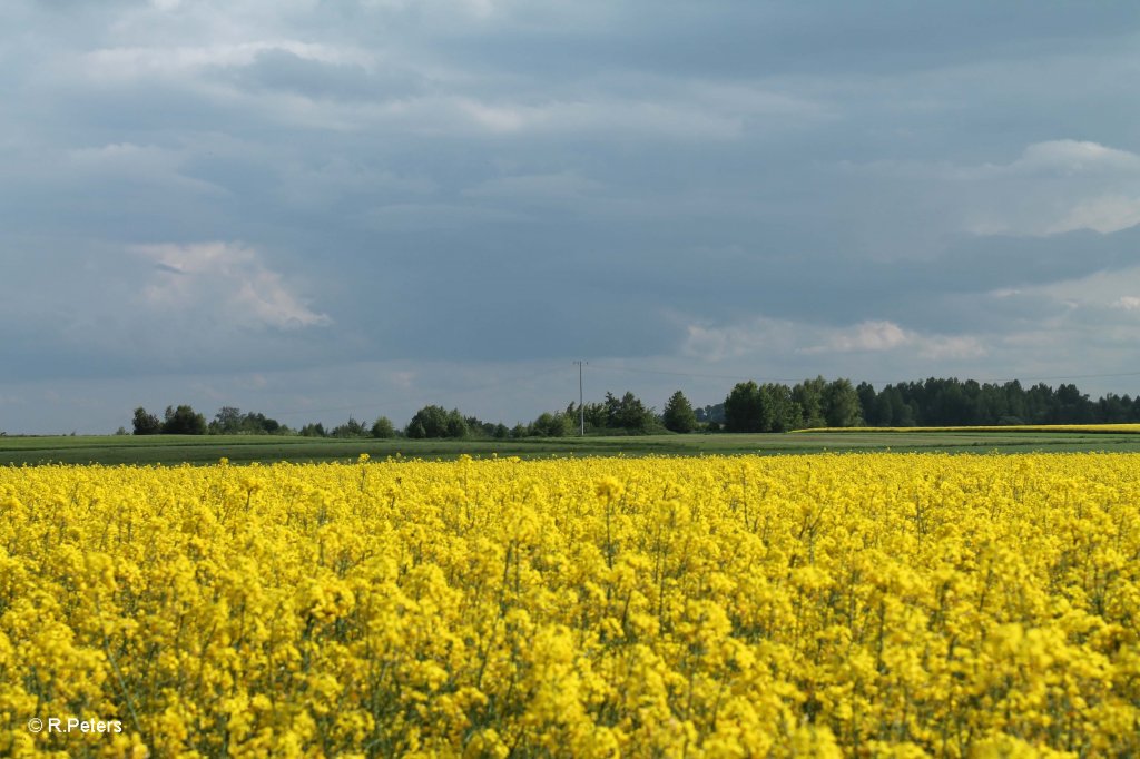 Farbenspiel bei Schnfeld