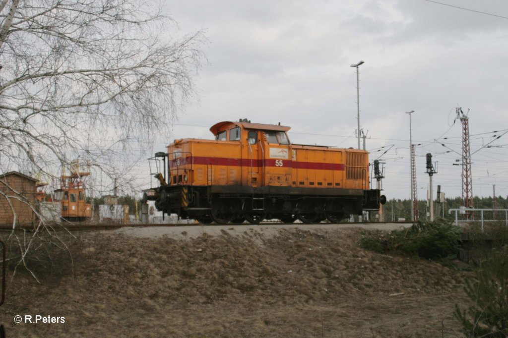 Lok 55 im Werksbahnhof Ziltendorf. 10.03.11