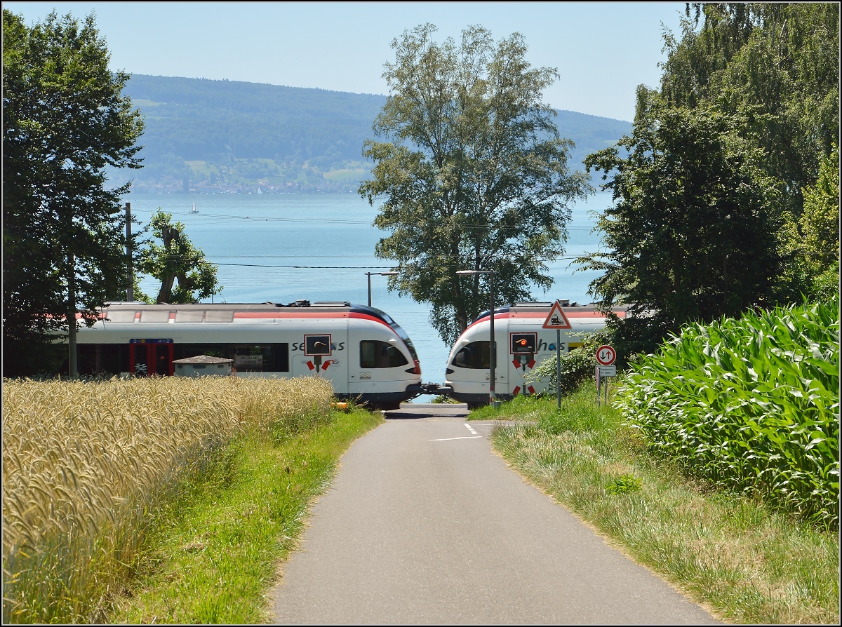 10 Jahre Seehas mit der SBB.

Eine Doppelgarnitur Seehasen am unbeschrankten Bahnübergang bei Allensbach. Juni 2015.