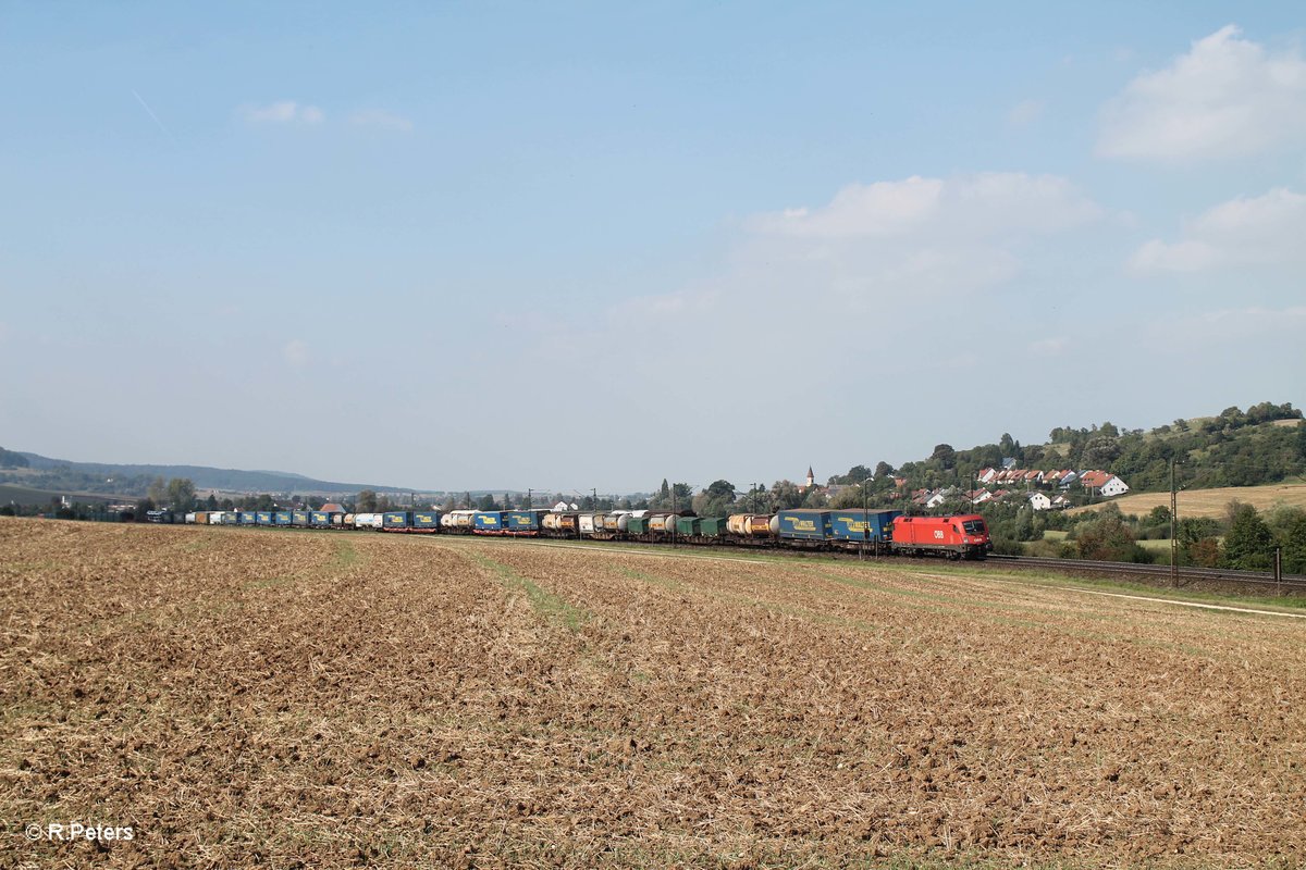 1116 276-7 zieht ein LKW-Walter Zug kurz vor Treuchtlingen bei Wettelsheim gen Süden. 24.09.16