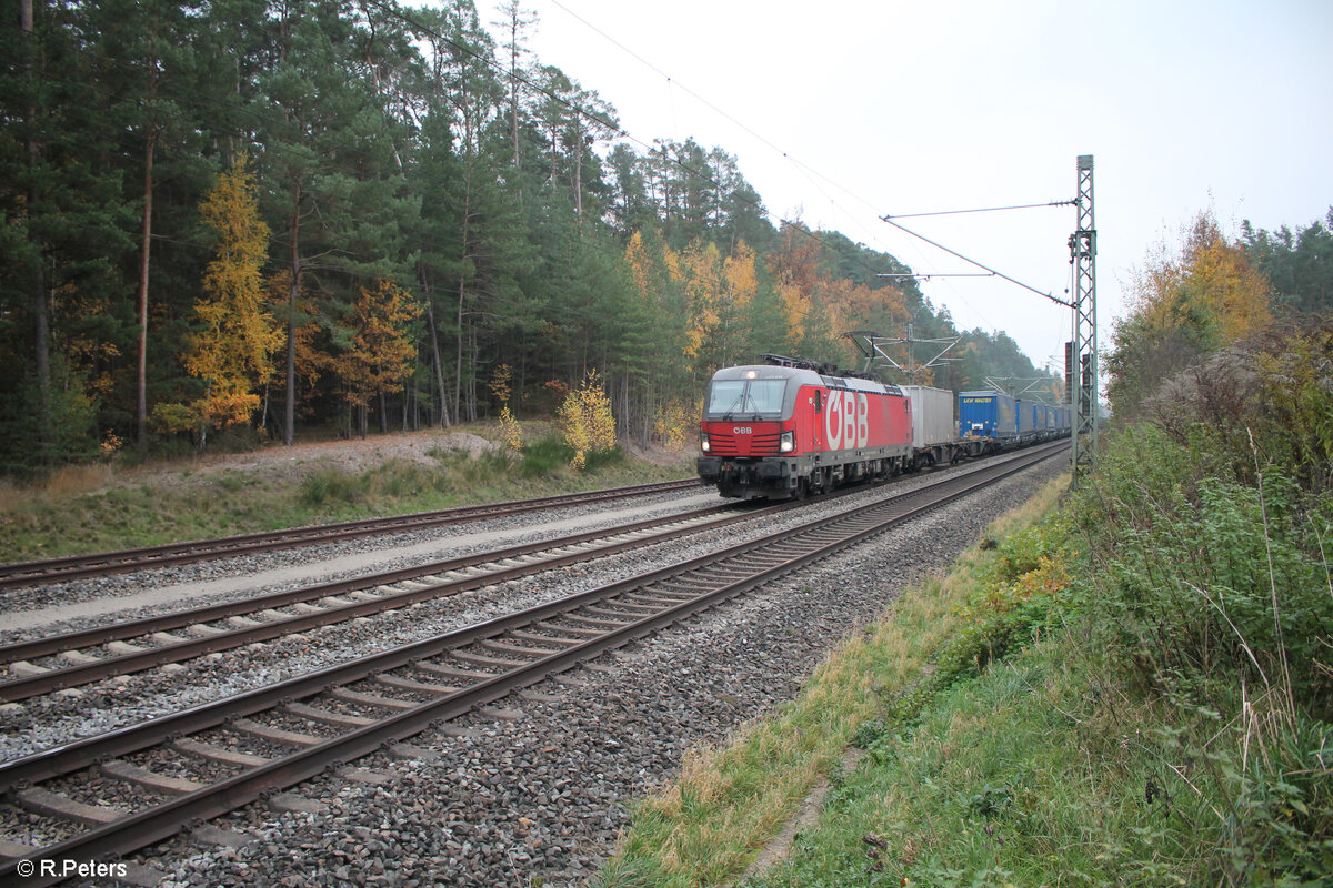 1293 073 zieht mit einem Wechselpritschenzug zwischen Roth und Rednitzhembach in Richtung Nürnberg. 11.10.24