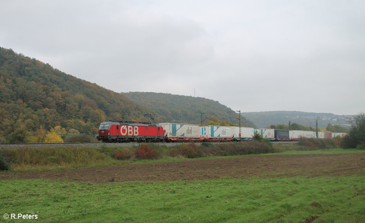 1293 194-7 zieht mit einem ekol Zug bei Wernfeld in Richtung Würzburg. 20.10.24