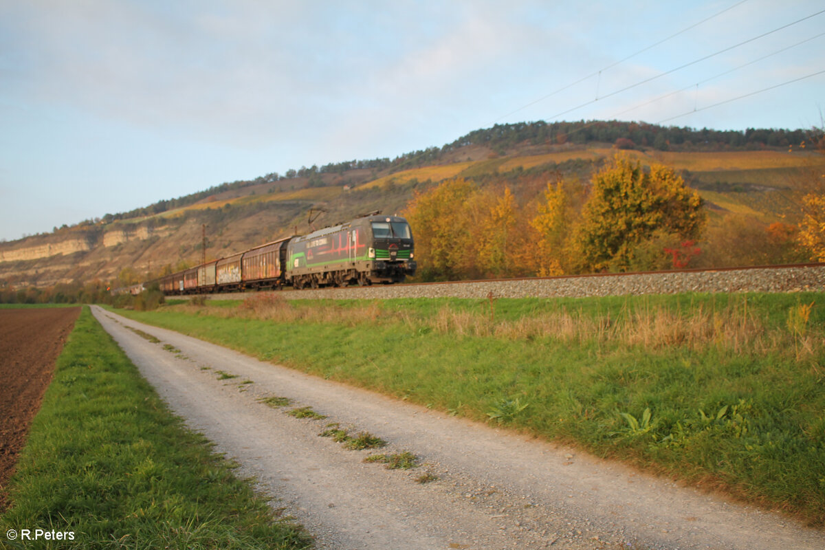 193 265  We Love to Connect  zieht bei Thüngersheim einen H-Wagen Zug in Richtung Süden. 27.10.24