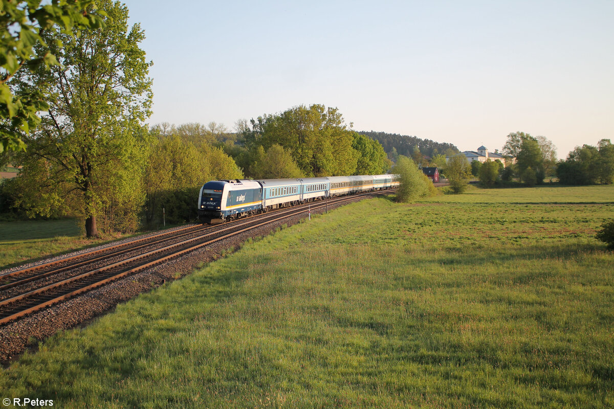 223 081 als RE3 79864 Hof - München Rothenstadt bei Weiden. 01.05.24