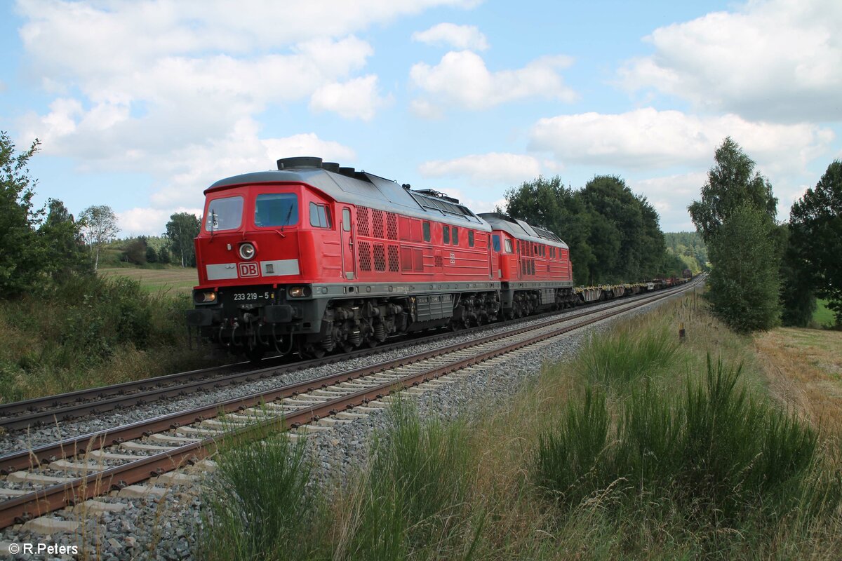 233 219-5 und 232 609 mit dem EZ 45365 Nürnberg - Cheb bei Naabdemenreuth. 01.09.21