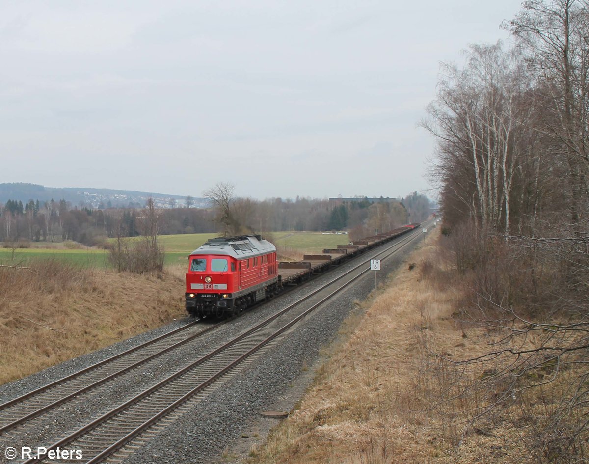 233 219 zieht bei Waldershof den 45392 Wagen Leerwagen Überführung von Cheb nach Nürnberg. 08.03.20