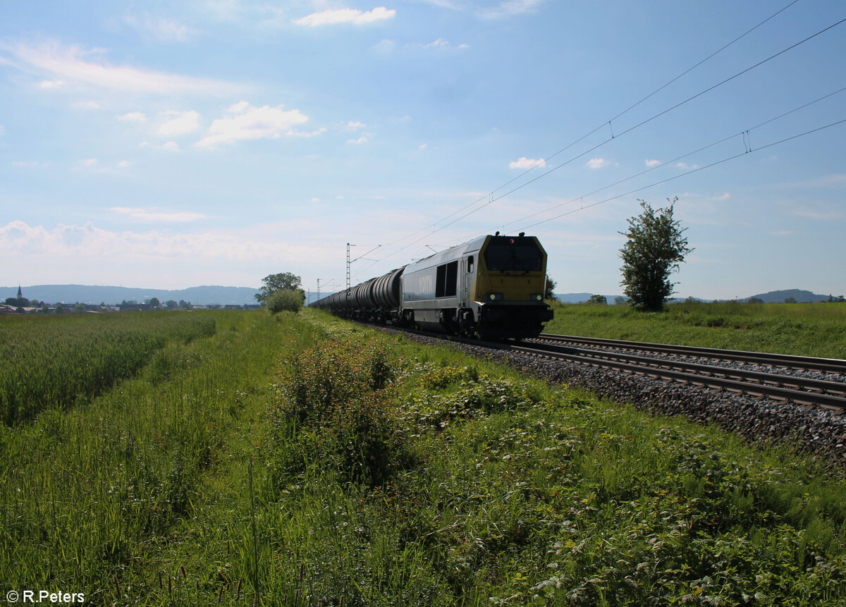 264 003 zieht mit einem Kesselzug bei Pölling gen Norden. 20.05.24