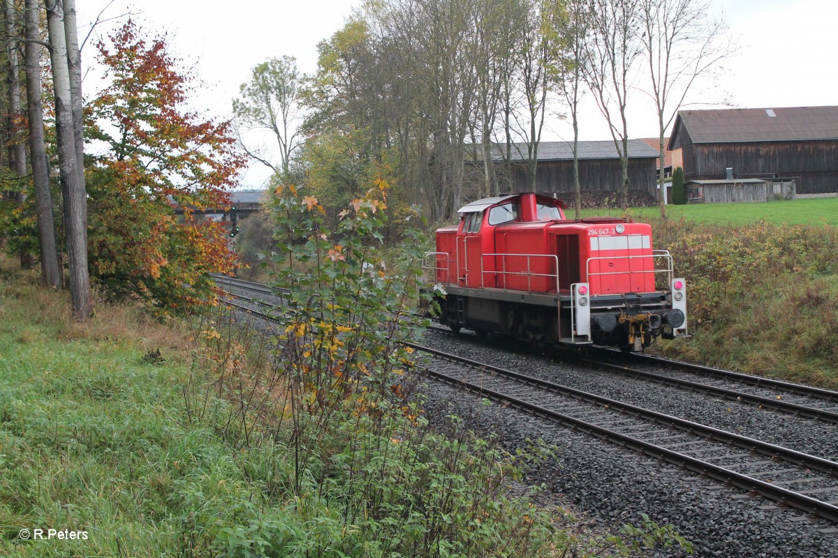 294 647-3 kommt Lz zurück aus Wiesau in Richtung Marktredwitz bei Pechbrunn. 16.10.14