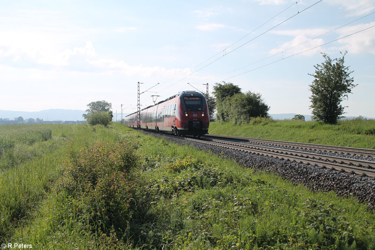 442 104 als S1 39126 Neumarkt/Oberpfalz - Bamberg bei Pölling. 20.05.24