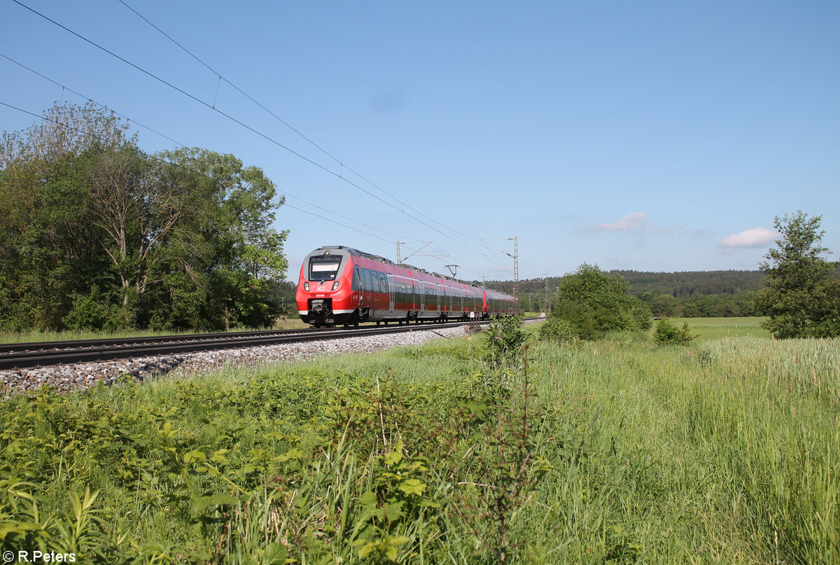 442 264 als S1 39125 Bamberg - Neumarkt/Oberpfalz bei Pölling. 20.05.24