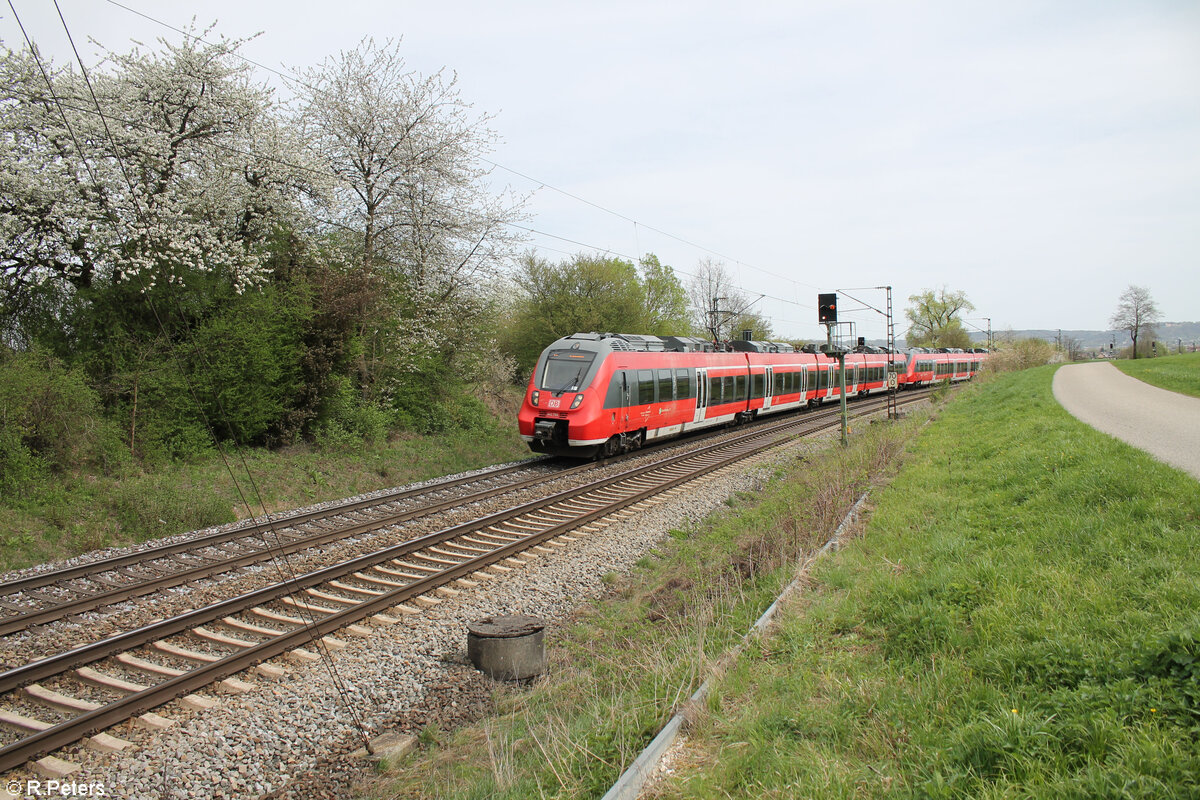 442 768 als S1 39156 Neumarkt/Oberpfalz - Bamberg bei Pölling. 07.04.24