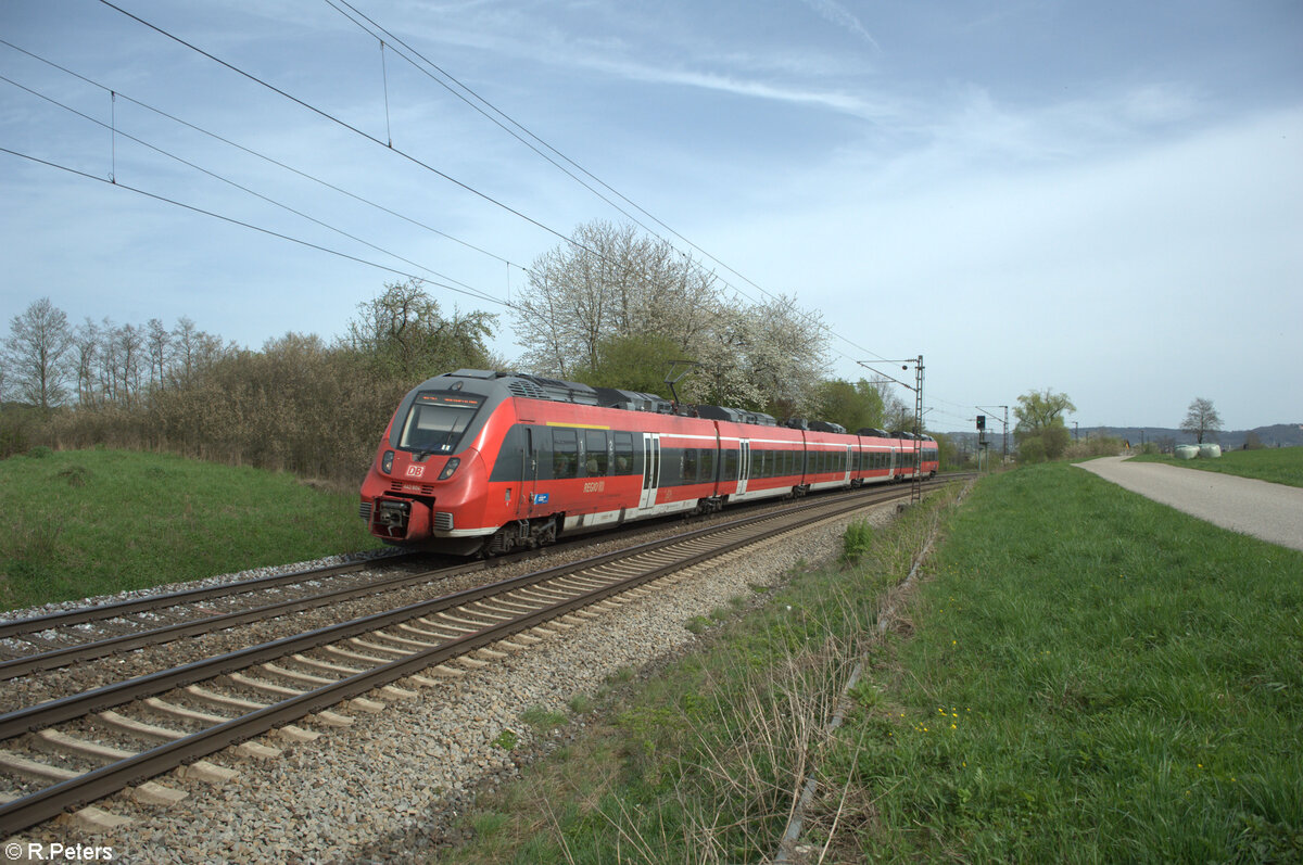 442 804 als RE50 RE58420 Regensburg - Nürnberg bei Pölling. 07.04.24