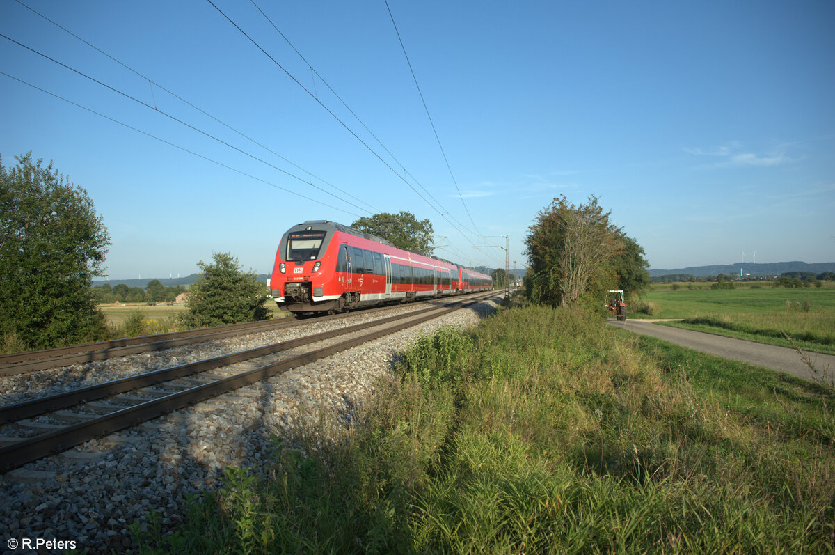 443 606 zieht als S1 39192 Neumarkt/Oberpfalz - Bamberg bei Pölling. 28.08.24