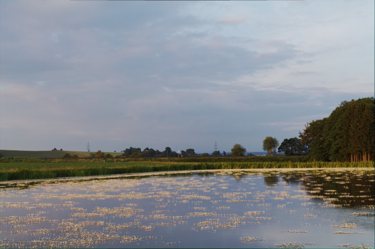 Abendstimmung bei Oberteich. 15.06.15