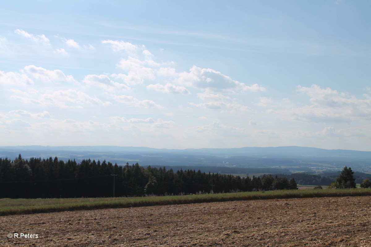 Blick vom Bankel Richtung Falkenberg