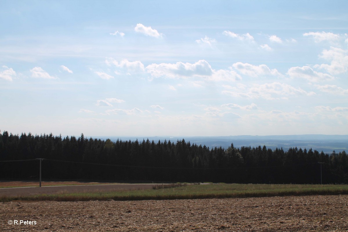 Blick vom Bankel Richtung Parkstein