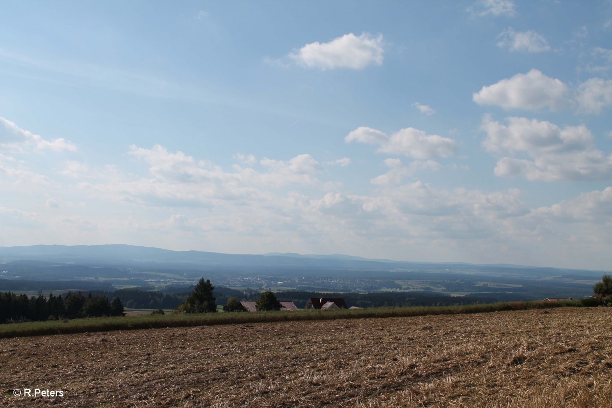 Blick vom Bankel richtung Tirschenreuth 